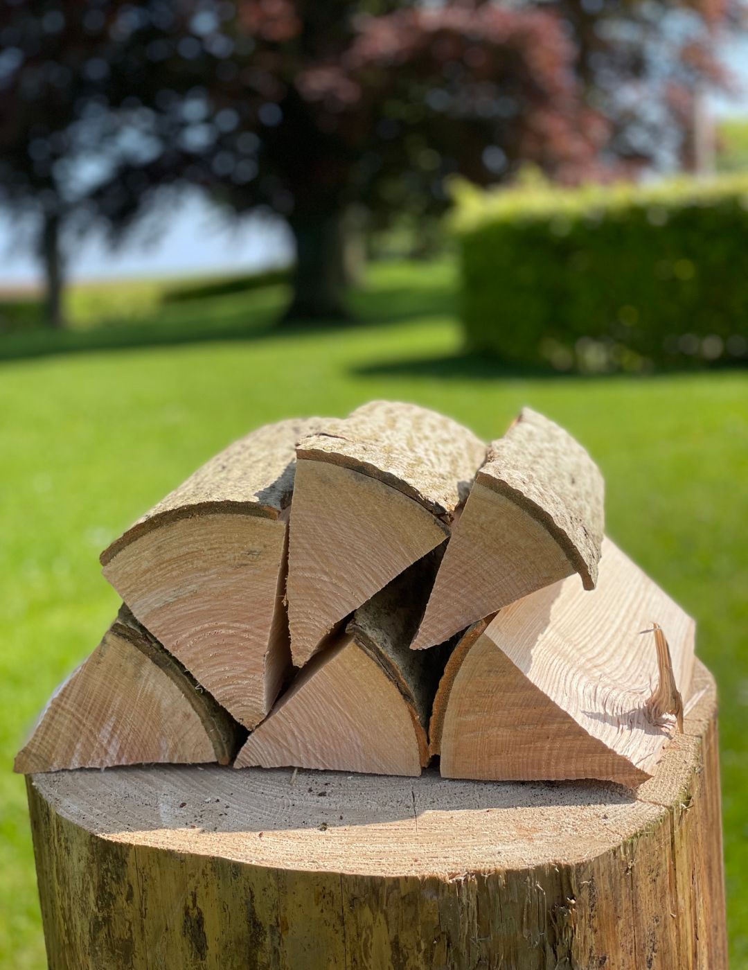 Dansk Askebrænde - Frisk kløvet (KRM)