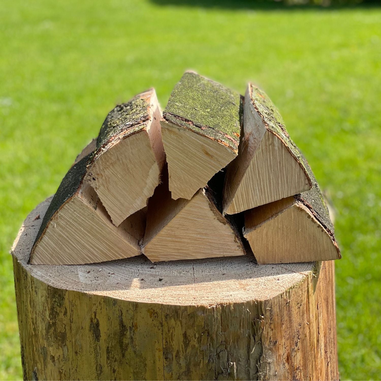 Bøgebrænde